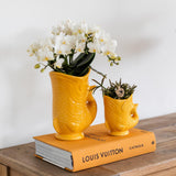 Kolibri-orchideeën | Set witte orchidee Nazaré in vetplant in Fish sierpot oranje - potmaat Ø9cm & Ø6cm | bloeiende kamerplant - vers van de kweker