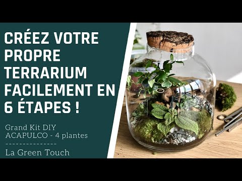 constuire un terrarium végetal